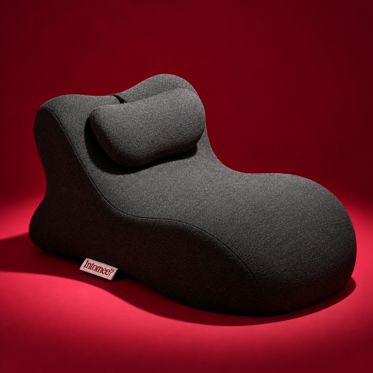 Intimacy Couples Pillow